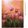 Diamantové malování - TULIPÁNY