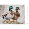 Diamantové malování - KACHNA