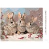 Diamantové malování - KRÁLÍCI V ZIMĚ