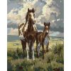 Diamantové malování - KONĚ NA NÁHORNÍCH PLANINÁCH