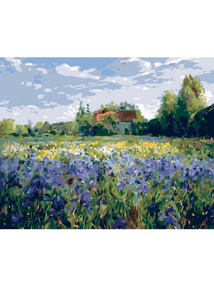 Diamantové maľovanie - DOM NA VIDIEKU (Rámovanie bez rámu a bez vypnutia plátna, Rozmer 40x50 cm)