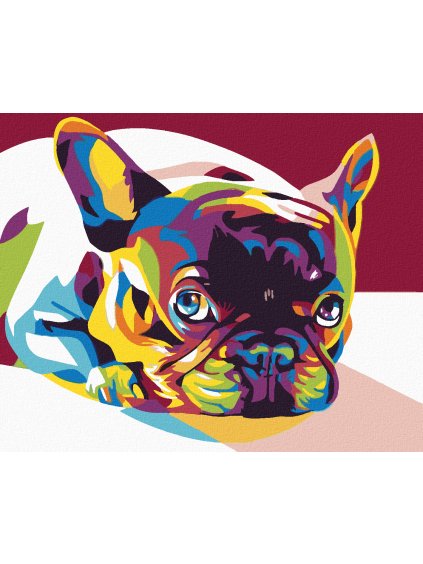 Diamantové maľovanie - FAREBNÝ BULDOČEK (Rámovanie bez rámu a bez vypnutia plátna, Rozmer 40x50 cm)