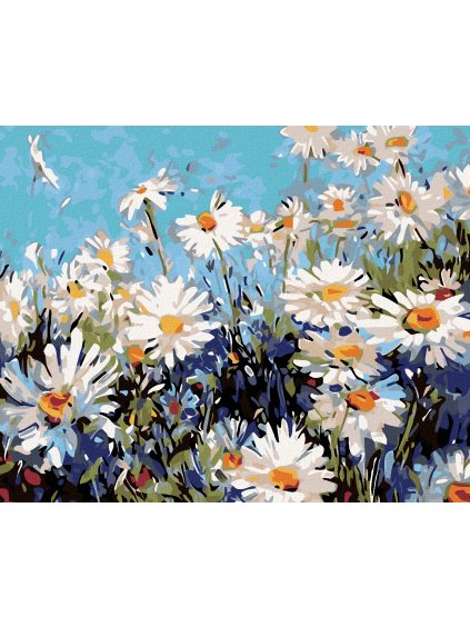 Diamantové maľovanie - MARGARÉTY (Rámovanie bez rámu a bez vypnutia plátna, Rozmer 40x50 cm)