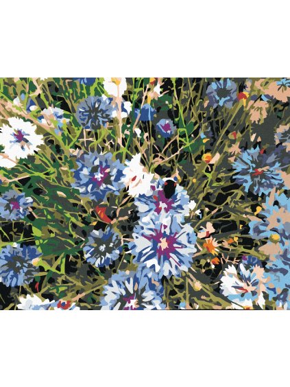 Diamantové maľovanie - NEVÄDZE MODRÉ (Rámovanie bez rámu a bez vypnutia plátna, Rozmer 40x50 cm)