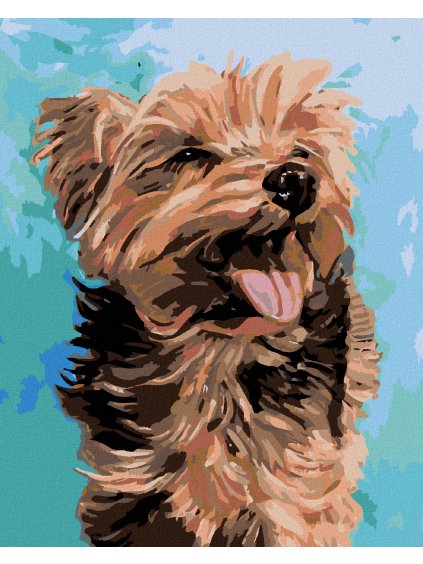 Diamantové maľovanie - VESELÝ YORKSHIRE (Rámovanie bez rámu a bez vypnutia plátna, Rozmer 40x50 cm)