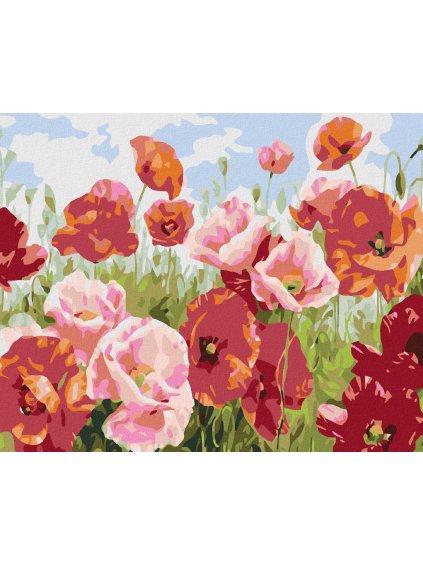Diamantové maľovanie - VLČIE MAKY V MNOHÝCH ODTIEŇOCH (Rámovanie bez rámu a bez vypnutia plátna, Rozmer 40x50 cm)
