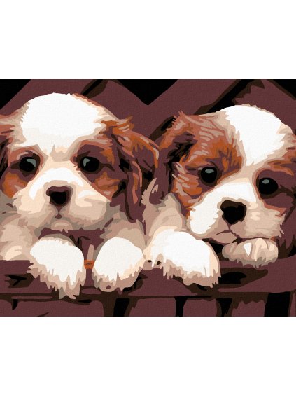 Diamantové maľovanie - BIELOHNEDÉ ŠTENIATKA (Rámovanie bez rámu a bez vypnutia plátna, Rozmer 40x50 cm)