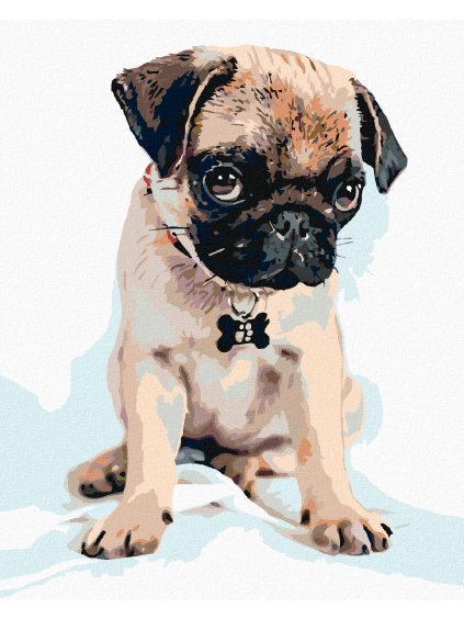 Diamantové maľovanie - ROZTOMILÝ MOPSÍK (Rámovanie bez rámu a bez vypnutia plátna, Rozmer 40x50 cm)