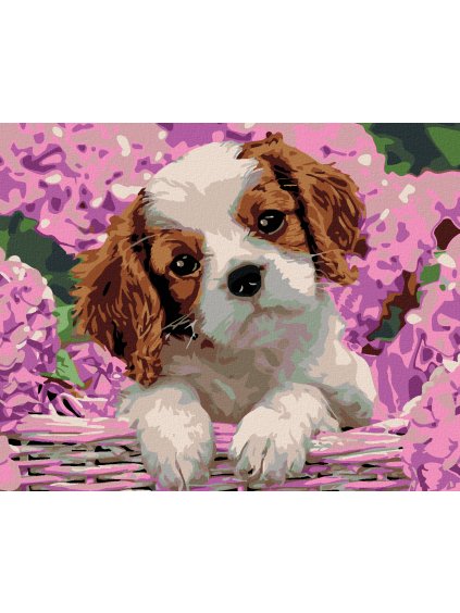 Diamantové maľovanie - ŠTENIATKO A HORTENZIE (Rámovanie bez rámu a bez vypnutia plátna, Rozmer 40x50 cm)