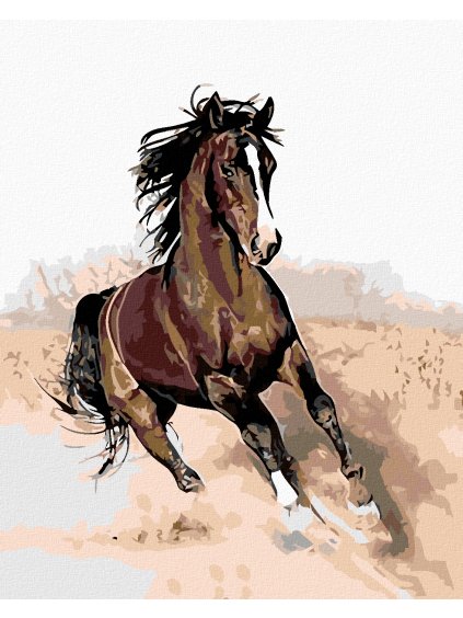 Diamantové maľovanie - HNEDÝ KÔŇ V PIESKU (Rámovanie bez rámu a bez vypnutia plátna, Rozmer 40x50 cm)