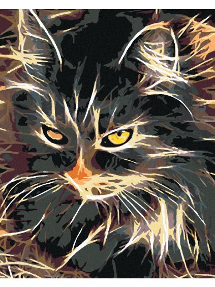 Diamantové maľovanie - NÁDHERNÁ DVOJFAREBNÁ MAČKA (Rámovanie bez rámu a bez vypnutia plátna, Rozmer 40x50 cm)
