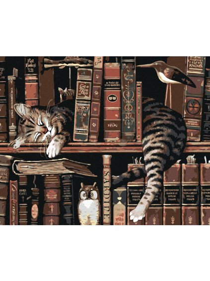 Diamantové maľovanie - KOCÚR V KNIHOVNI (Rámovanie bez rámu a bez vypnutia plátna, Rozmer 40x50 cm)