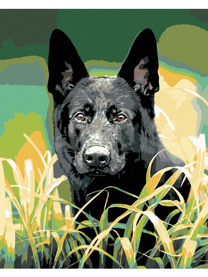Diamantové maľovanie - NEMECKÝ OVČIAK V TRÁVE (Rámovanie bez rámu a bez vypnutia plátna, Rozmer 40x50 cm)