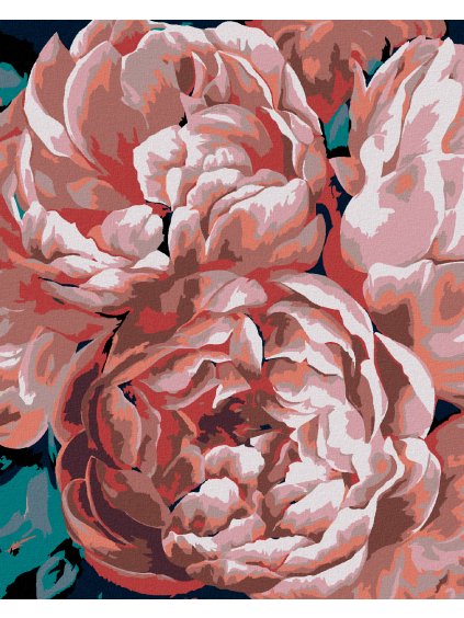 Diamantové maľovanie - PIVÓNIE VO SVETLE (Rámovanie bez rámu a bez vypnutia plátna, Rozmer 40x50 cm)