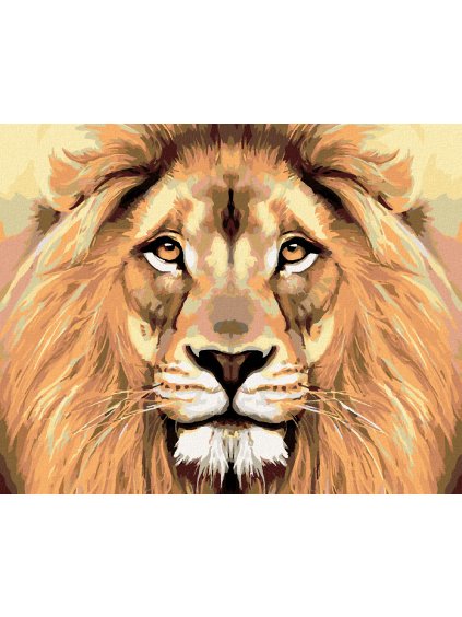 Diamantové maľovanie - LEVÍ POHĽAD (Rámovanie bez rámu a bez vypnutia plátna, Rozmer 40x50 cm)