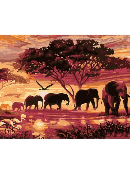 Diamantové maľovanie - SLONI (Rámovanie bez rámu a bez vypnutia plátna, Rozmer 40x50 cm)