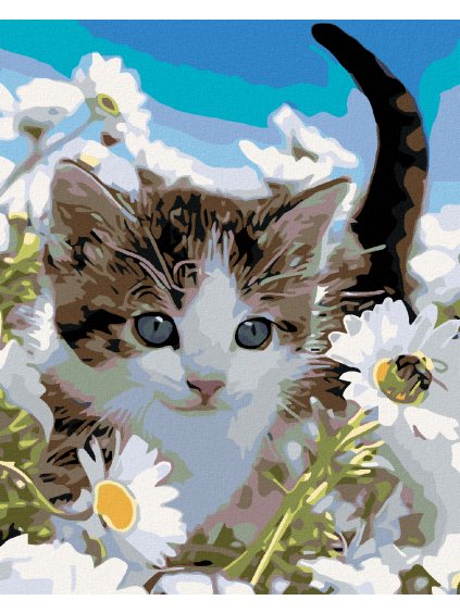Diamantové maľovanie - MAČIATKO V MARGARÉTKACH (Rámovanie bez rámu a bez vypnutia plátna, Rozmer 40x50 cm)