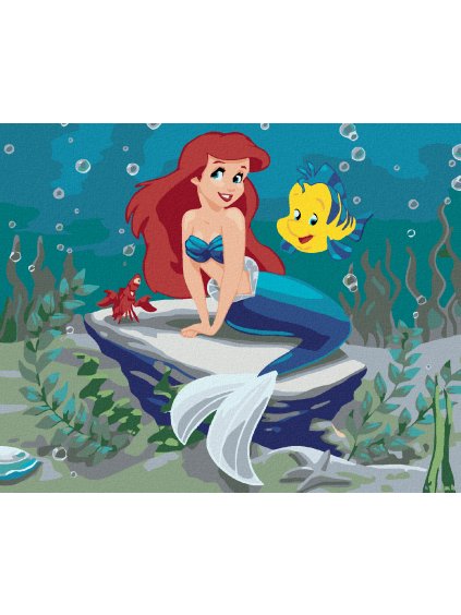 Diamantové maľovanie - MALÁ MORSKÁ VÍLA (Rámovanie bez rámu a bez vypnutia plátna, Rozmer 40x50 cm)