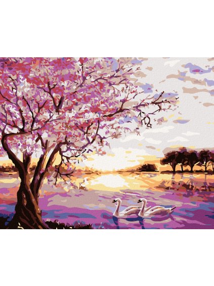 Diamantové maľovanie - LABUTE (Rámovanie bez rámu a bez vypnutia plátna, Rozmer 40x50 cm)