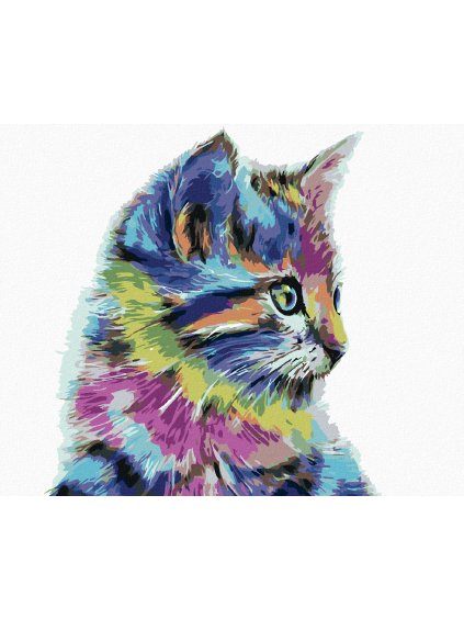 Diamantové maľovanie - MAČIČKA (Rámovanie bez rámu a bez vypnutia plátna, Rozmer 40x50 cm)