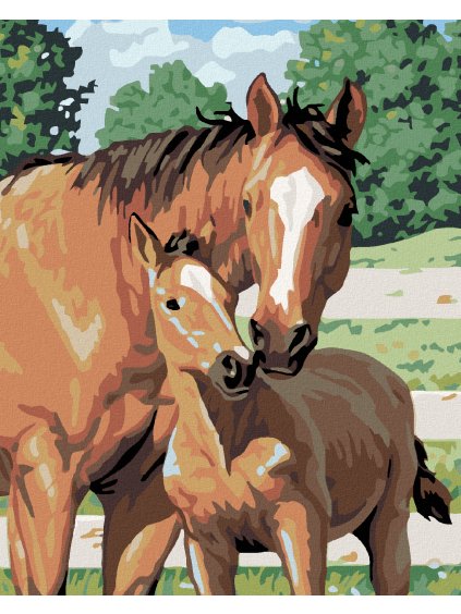 Diamantové maľovanie - KOBYLA SO ŽRIEBÄTKOM (Rámovanie bez rámu a bez vypnutia plátna, Rozmer 40x50 cm)