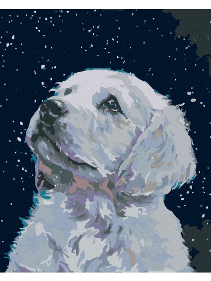 Diamantové maľovanie - BIELE ŠTENIATKO (Rámovanie bez rámu a bez vypnutia plátna, Rozmer 40x50 cm)