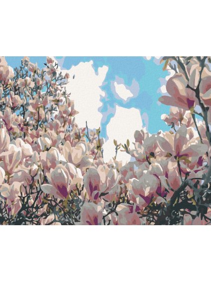 Diamantové maľovanie - KVETNÚCE MAGNÓLIE (Rámovanie bez rámu a bez vypnutia plátna, Rozmer 40x50 cm)