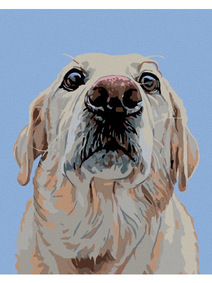 Diamantové maľovanie - LABRADOR (Rámovanie bez rámu a bez vypnutia plátna, Rozmer 40x50 cm)