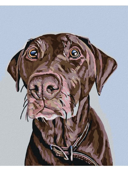 Diamantové maľovanie - HNEDÝ PES S HNEDÝM OBOJKOM (Rámovanie bez rámu a bez vypnutia plátna, Rozmer 40x50 cm)