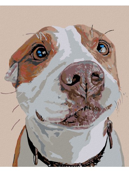 Diamantové maľovanie - ČAKAJÚCI PES (Rámovanie bez rámu a bez vypnutia plátna, Rozmer 40x50 cm)