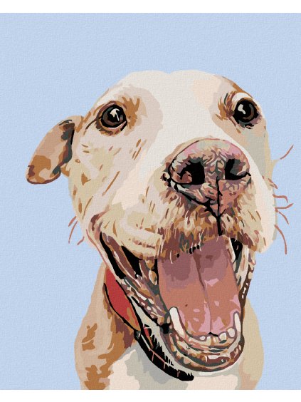 Diamantové maľovanie - ŠŤASTNÝ PSÍK (Rámovanie bez rámu a bez vypnutia plátna, Rozmer 40x50 cm)