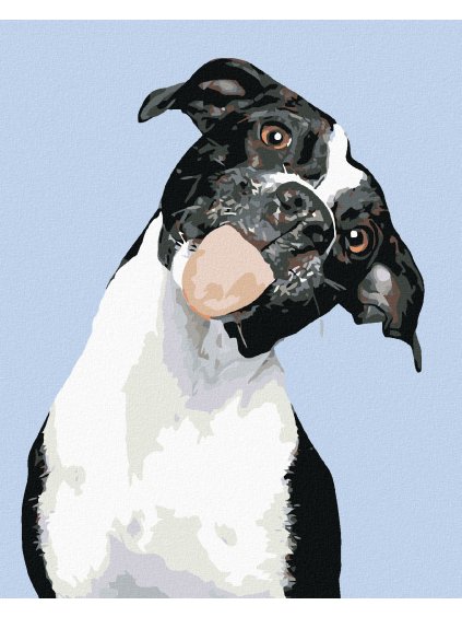 Diamantové maľovanie - ČIERNOBIELY PES A VYPLAZENÝ JAZYK (Rámovanie bez rámu a bez vypnutia plátna, Rozmer 40x50 cm)