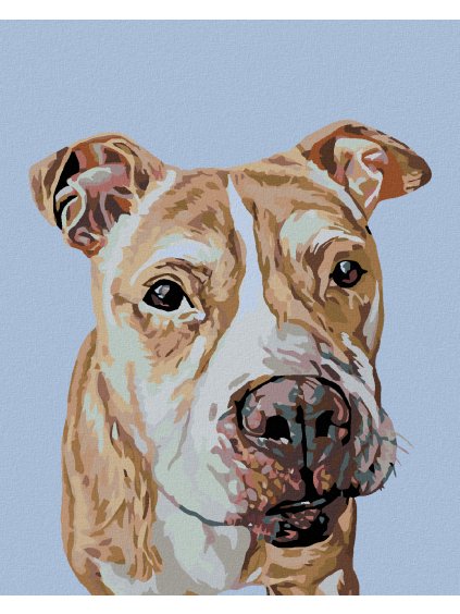 Diamantové maľovanie - HNEDÝ STAFORD (Rámovanie bez rámu a bez vypnutia plátna, Rozmer 40x50 cm)