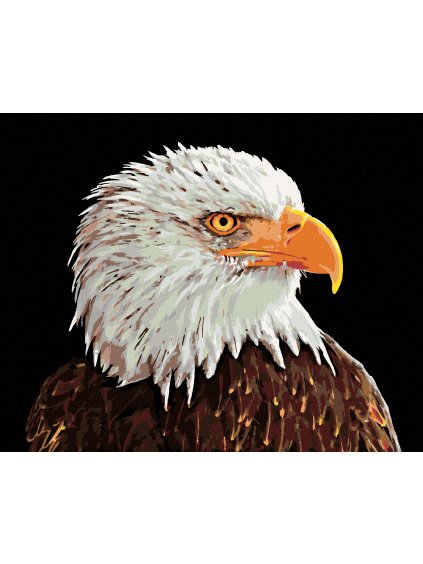 Diamantové maľovanie - OROL BIELOHLAVÝ (Rámovanie bez rámu a bez vypnutia plátna, Rozmer 40x50 cm)