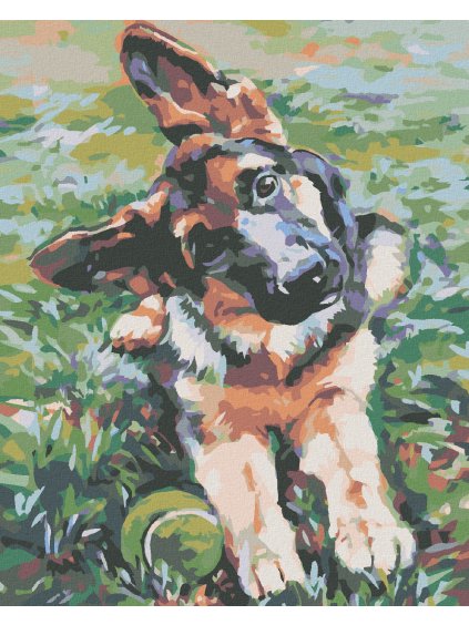 Diamantové maľovanie - ŠTENIATKO OVČIAKA (Rámovanie bez rámu a bez vypnutia plátna, Rozmer 40x50 cm)