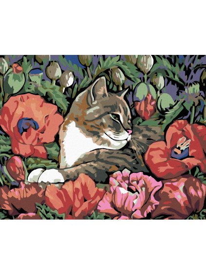 Diamantové maľovanie - MAČIATKO A VLČÍ MAK (Rámovanie bez rámu a bez vypnutia plátna, Rozmer 40x50 cm)