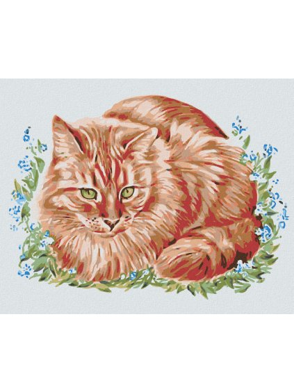 Diamantové maľovanie - RYŠAVEC V TRÁVE (Rámovanie bez rámu a bez vypnutia plátna, Rozmer 40x50 cm)