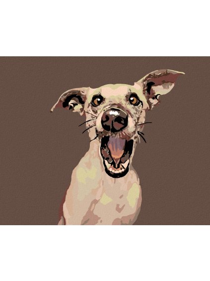 Diamantové maľovanie - PREKVAPENÝ PES (Rámovanie bez rámu a bez vypnutia plátna, Rozmer 40x50 cm)