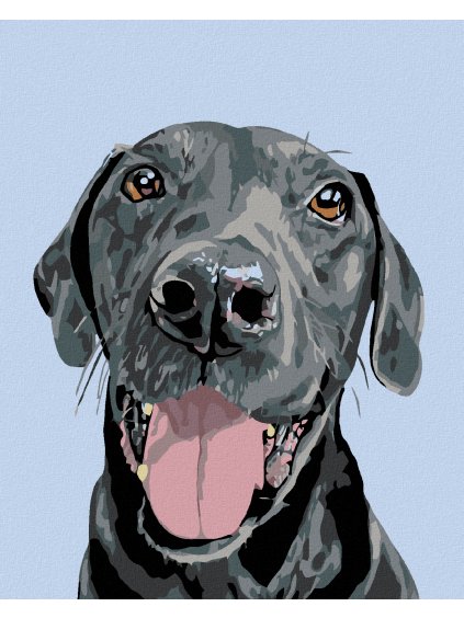 Diamantové maľovanie - ČIERNY KRÁSAVEC (Rámovanie bez rámu a bez vypnutia plátna, Rozmer 40x50 cm)