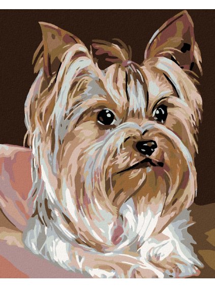 Diamantové maľovanie - JORKŠÍRKA (Rámovanie bez rámu a bez vypnutia plátna, Rozmer 40x50 cm)