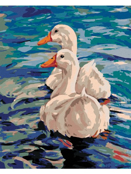 Diamantové maľovanie - DVE KAČKY NA VODE (Rámovanie bez rámu a bez vypnutia plátna, Rozmer 40x50 cm)