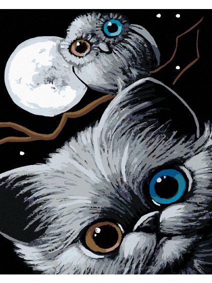 Diamantové maľovanie - MAČIATKO, SOVA A MESIAC (Rámovanie bez rámu a bez vypnutia plátna, Rozmer 40x50 cm)
