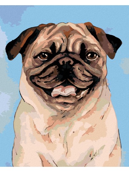 Diamantové maľovanie - HNEDÝ MOPSÍK (Rámovanie bez rámu a bez vypnutia plátna, Rozmer 40x50 cm)