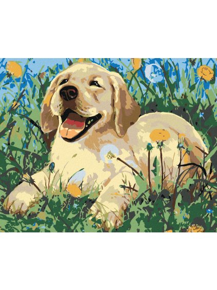 Diamantové maľovanie - ŠTENIATKO MEDZI PÚPAVOU (Rámovanie bez rámu a bez vypnutia plátna, Rozmer 40x50 cm)