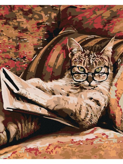 Diamantové maľovanie - MAČKA S OKULIARMI (Rámovanie bez rámu a bez vypnutia plátna, Rozmer 40x50 cm)