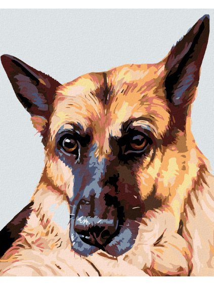 Diamantové maľovanie - VLČIAK (Rámovanie bez rámu a bez vypnutia plátna, Rozmer 40x50 cm)