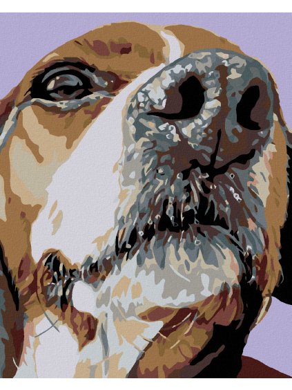 Diamantové maľovanie - ŇUFÁK BÍGLA (Rámovanie bez rámu a bez vypnutia plátna, Rozmer 40x50 cm)