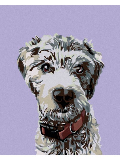 Diamantové maľovanie - CHLPÁČ S ČERVENÝM OBOJKOM (Rámovanie bez rámu a bez vypnutia plátna, Rozmer 40x50 cm)