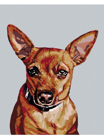 Diamantové maľovanie - TRPASLIČÍ PINČ (Rámovanie bez rámu a bez vypnutia plátna, Rozmer 40x50 cm)