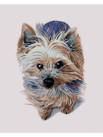 Diamantové maľovanie - MALÝ JORKŠÍR (Rámovanie bez rámu a bez vypnutia plátna, Rozmer 40x50 cm)